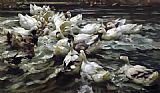 Alexander Koester Canvas Paintings - Ducks in a Pond